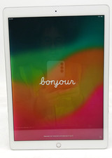 Apple iPad Pro 2a Generazione