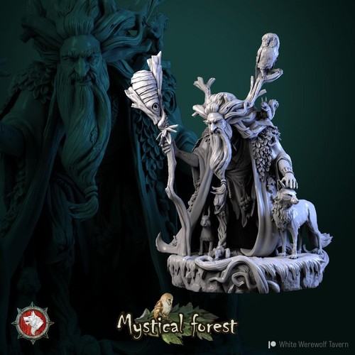 Reidar wooden hermit druid - reidar,