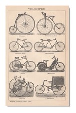 BICICLETTE stampa VELOCIPEDI