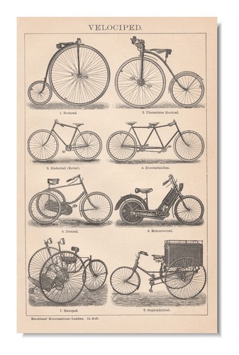 Biciclette stampa velocipedi - biciclette,