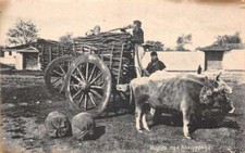 Albania Scena Agricola