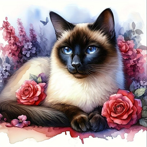 Collana siamese gatto animale - gatto,