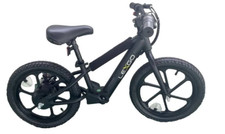 E-Bike Lexgo EFUN 20