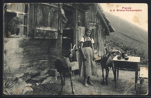 Cartolina giovane donna - cartolina,