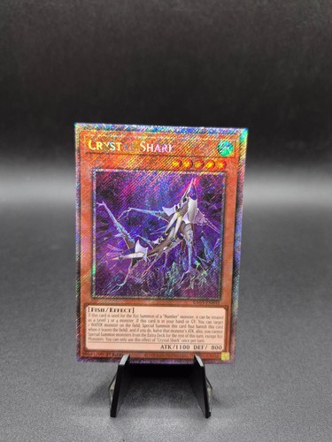 Squalo cristallo platinum - squalo,