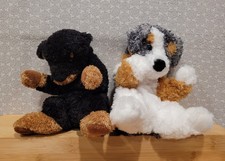 Douglas rottweiler - douglas, &