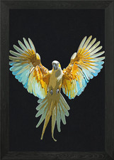 Poster arte da parete con