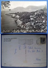 Fiascherino - La Punta di Maralunga, viaggiata 1959