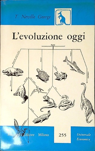 Evoluzione oggi - l',