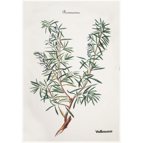 Canovaccio cucina vallesusa - canovaccio,