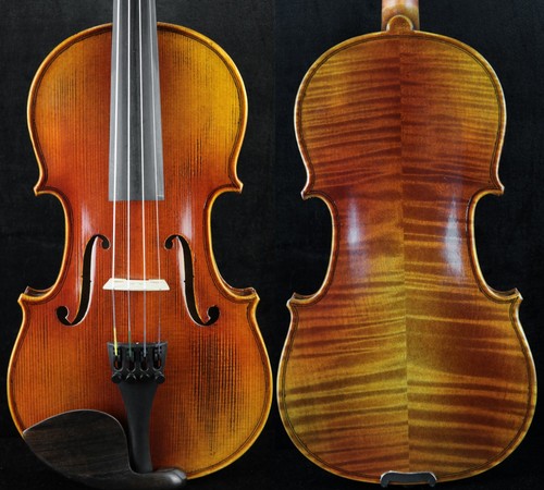Meraviglioso maestro violino