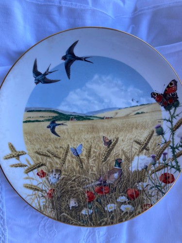 Royal worcester piatto - royal,