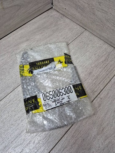 Modanatura paraurti posteriore