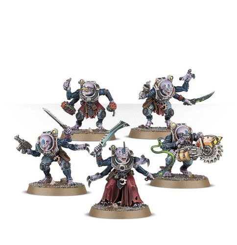 Neophyte hybrids x10 cultes - neophyte,