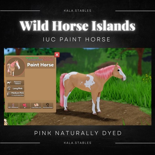 Wild horse islands cavallo - horse,