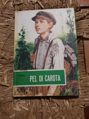 Pel carota renard ed - pel, di