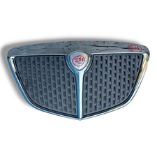 Griglia mascherina anteriore