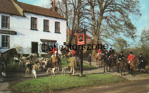 Farlington yorkshire fox - farlington,