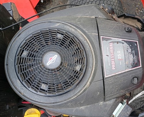 Briggs stratton professional - briggs,