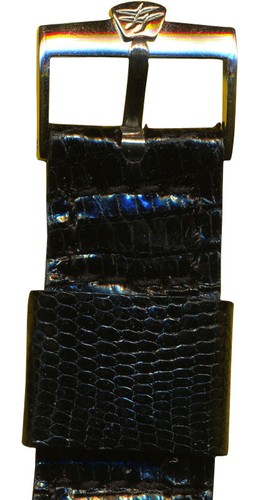 Extra long retro lizard - retro, mb