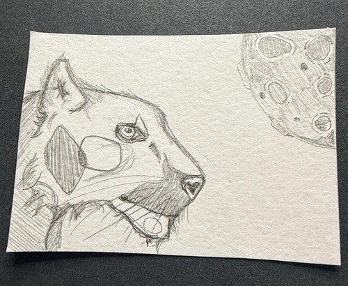 Carta artistica originale - , aceo