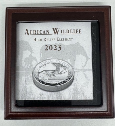 2023 somalia wildlife - wildlife, elefante