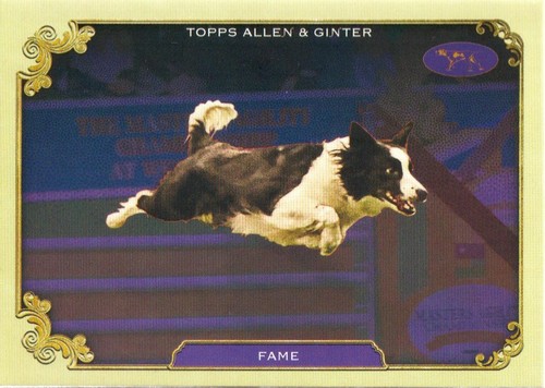 2024 topps allen and ginter - 2024,