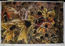 Camaleonte di Sheila Wolk