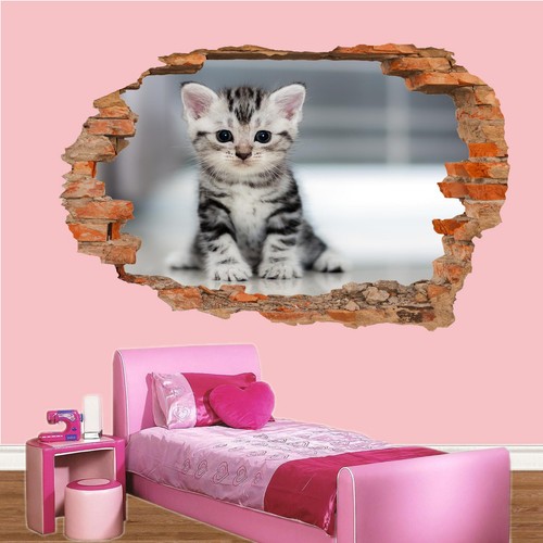 Adesivi murali animali gatti - animali,