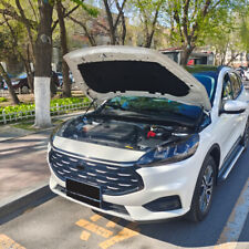 Coppia molla a gas cofano