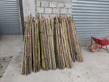 50 Canne di Bamboo per