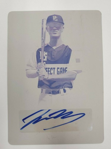 Baseball 2019 leaf - 2019, perfect