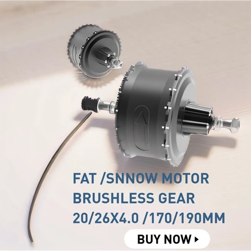 Ingranaggio brushless 48v - ,
