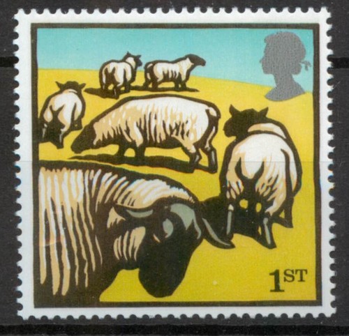 Farm animals suffolk sheep - animals,