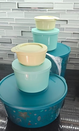 Tupperware piece bowl - 16,