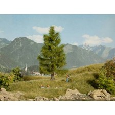 NOCH 0021816 Albero Abete
