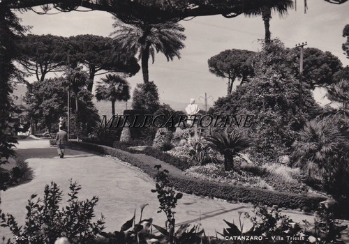 Catanzaro villa trieste - catanzaro:,