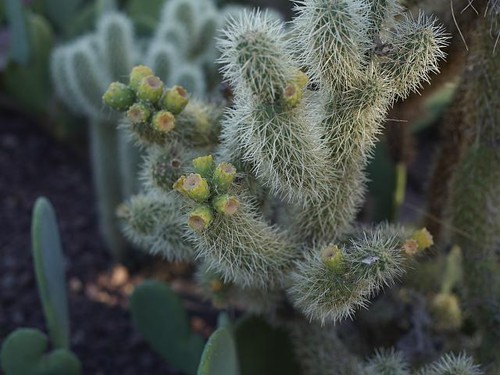 Phoenix arizona usa 2018 - phoenix,