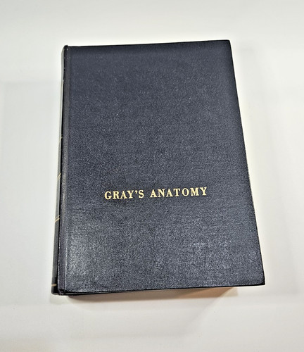 Gray anatomy goss - gray's,