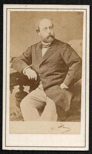 Henri artois comte de - comte,
