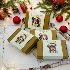 QUALSIASI RAZZA DI CANE