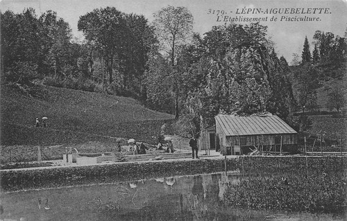 Lepin aiguebelette 100569 - lepin,