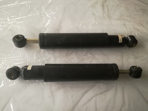 Coppia ammortizzatori citroen - ammortizzatori,