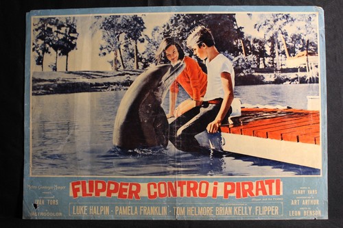 Flipper contro pirati - i,