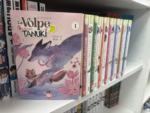 Volpe piccolo tanuki - il,