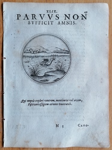 Parvus non sufficit amnis - ,