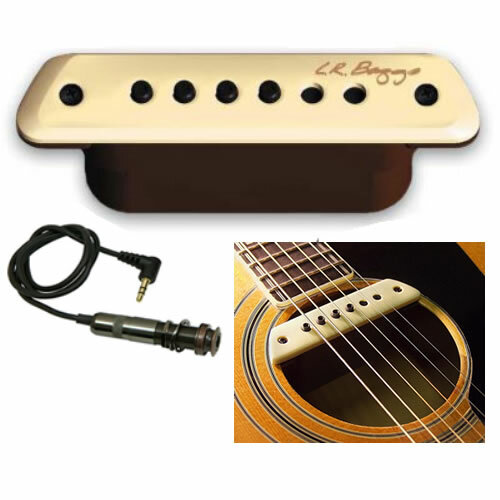 Baggs sound hole - lr, m1