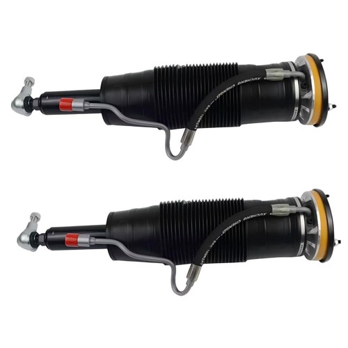 2pz ammortizzatori idraulici - 2pz,