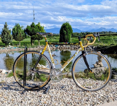 Bici corsa fondriest golden - bici,