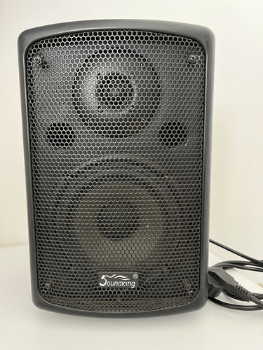 Cassa soundking fp206a - soundking,